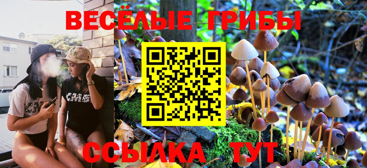 Тобольск  Псилоцибиновые грибы Magic Shrooms  Вход с VPN 